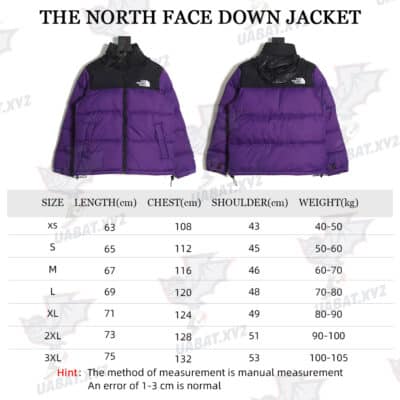 The North Face 1996 羽绒服 5s 版 TSK4
