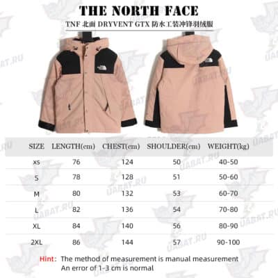 The North Face TNF North Face DRYVENT Gore-tex 防水工作服 Charge 羽绒服_CM_1