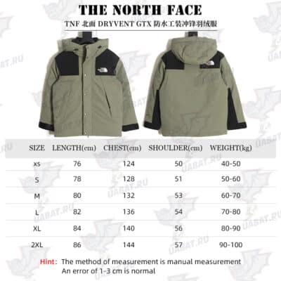 The North Face TNF North Face DRYVENT Gore-tex 防水工作服 Charge 羽绒服_CM_2
